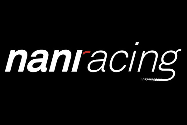 Nani Racing Suspensions
