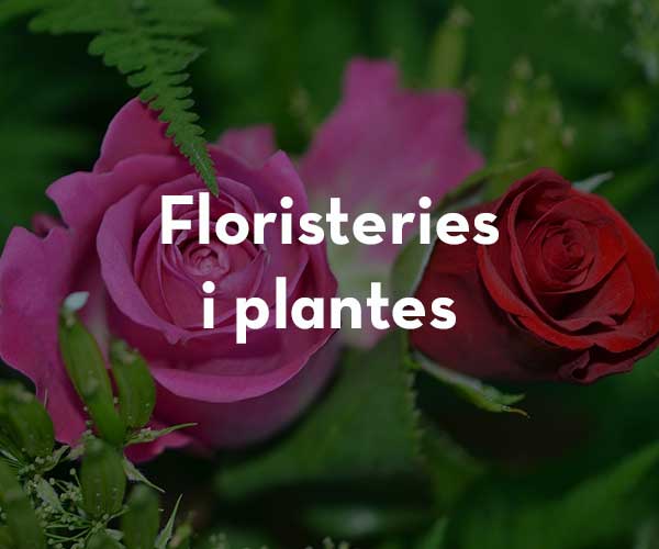 Floristeries / Plantes
