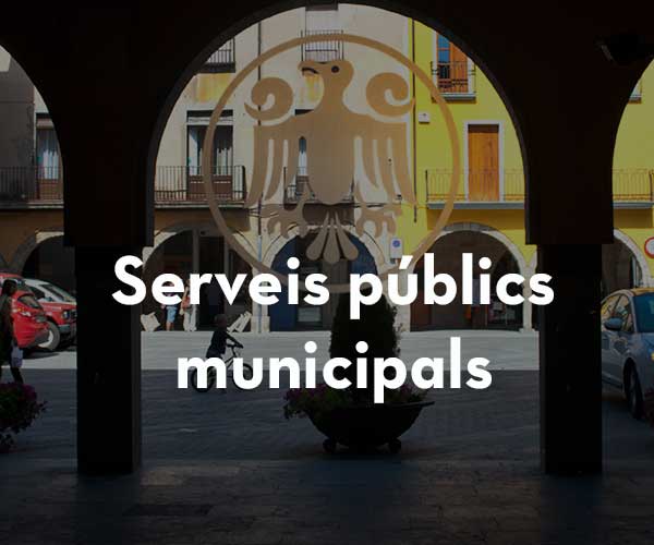 Serveis públics municipals